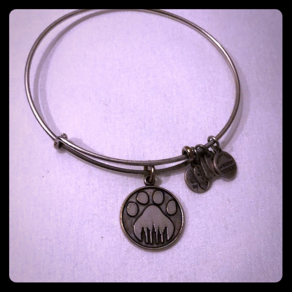 Alex and Ani 🐾 paw print bracelet